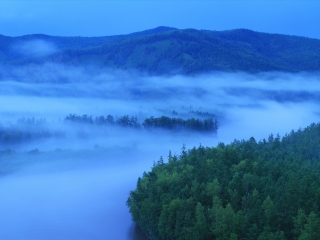 北极村国家森林公园
