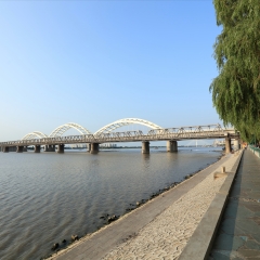 活动模块 