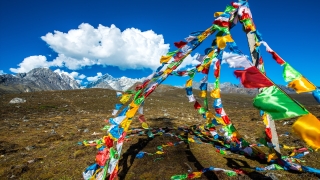 银川到云南旅游_9-11月银川到云南旅游线路报