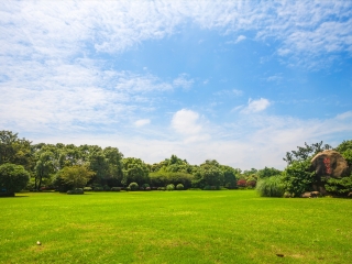 长广溪湿地公园