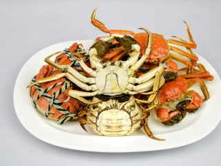 蚌埠