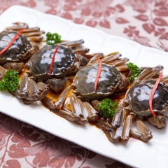 汕头潮州美食_5224_19962