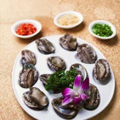 大连大连鲍鱼_802_1253