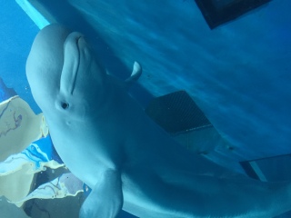 屏东国立海洋生物博物馆