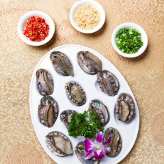 大连大连鲍鱼_802_1254