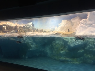 屏东国立海洋生物博物馆