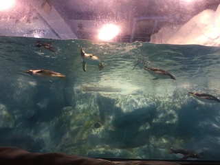 屏东国立海洋生物博物馆