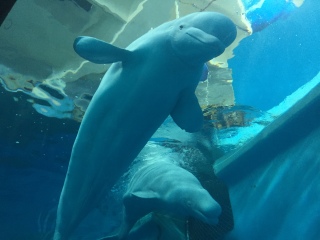 屏东国立海洋生物博物馆