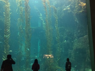 屏东国立海洋生物博物馆