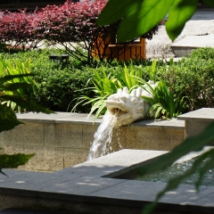 黄山温泉景区