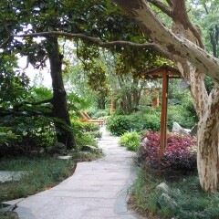 黄山温泉景区