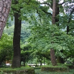 黄山温泉景区