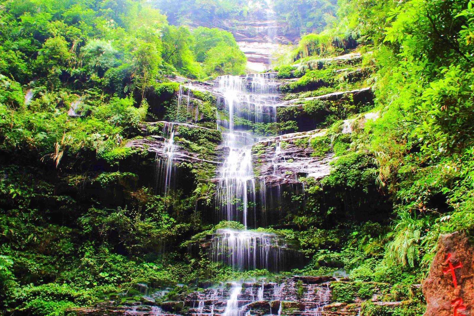 近距离接触大熊猫【多图】_千层岩瀑布游记_途牛