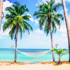 Beautiful beach.  Hammock between two palm trees on the beach. Holiday and vacation concept. Tropical beach.