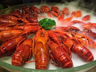 红盔甲(人民广场店)