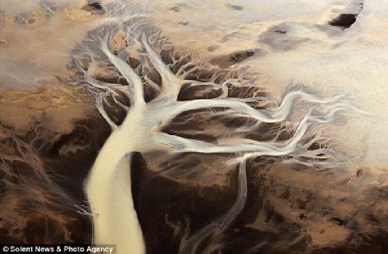 河流分支众多,宛如虚幻的树影