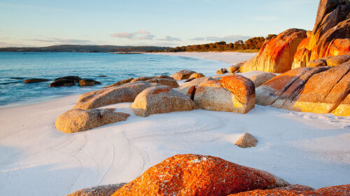 尼亚当地深度5日 悉尼集中 含悉尼往返机票 惠