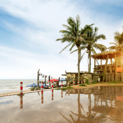 After the rain the seaside, hut and coconut trees, China Hainan Island.