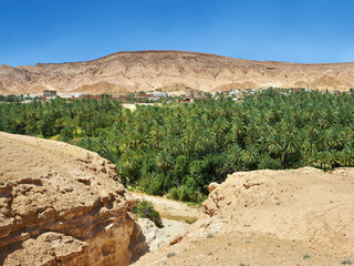 哈伊勒省