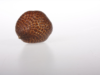 科莫多岛