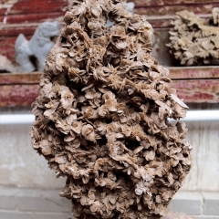 突尼斯沙漠玫瑰石（Desert rose stone）_1416_2613