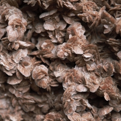 突尼斯沙漠玫瑰石（Desert rose stone）_1416_2612