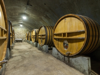 圣路易斯波托西州