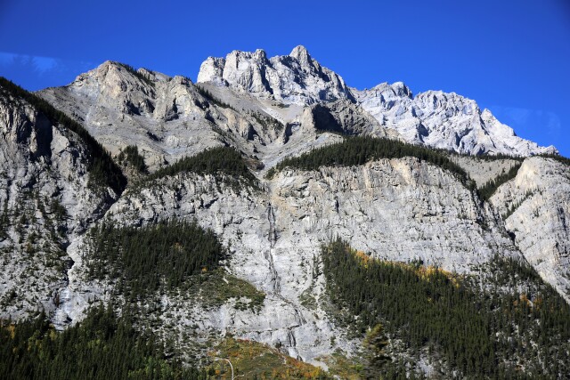 途牛首发 采枫之旅 十七 温哥华 伊丽莎白女皇公园 弓河 攻略游记 途牛