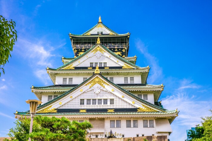 1603年德川幕府成立后,丰臣秀赖依然居住在大坂城支配摄津国.