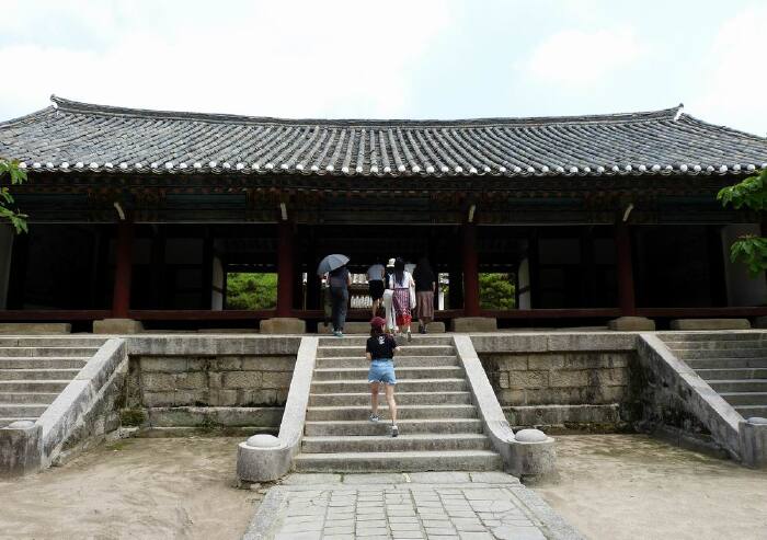 成均馆内古木参天,据说有的已有近千年的树龄.