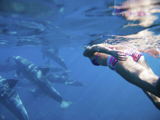 毛里求斯自然史博物馆