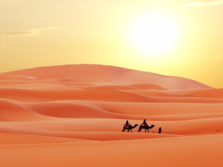 摩洛哥异国情调花园