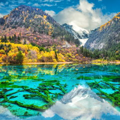 景点模块 