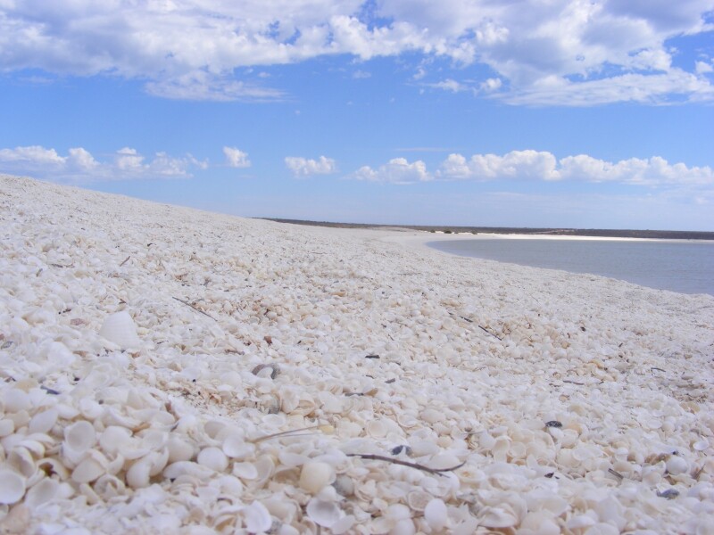 shell beach贝壳海滩