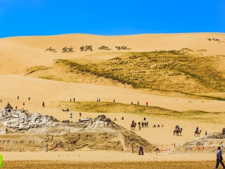 青海湖沙岛景区