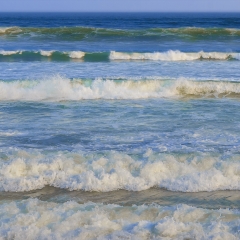 海浪_5062