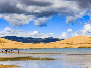 青海湖沙岛景区