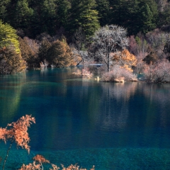 景点模块 
