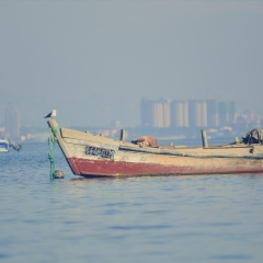 中国山东烟台海滨浴场_5048