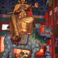 西安大兴善寺_5274