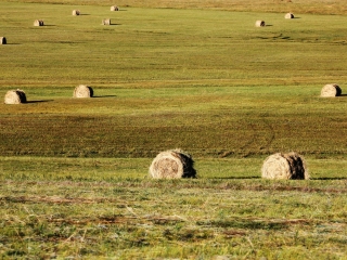 呼德阿日勒大草原