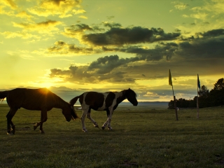 呼德阿日勒大草原