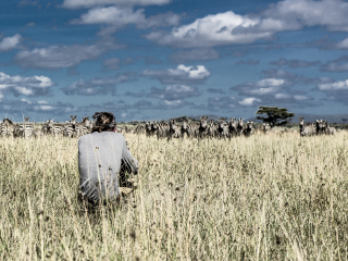 塞伦盖蒂国家公园
