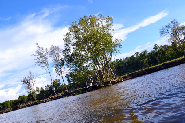 从巴士下来,一股五彩斑斓的车流映入眼前,紧凑的在马路牙子