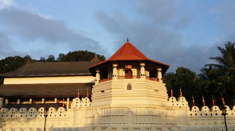 斯里兰卡7天5晚体验度假团 深起港止 肉桂五星