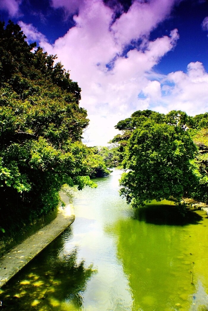 很难想象,如此平静,安详的景象,曾在战火中面目全非.