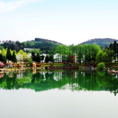 余姚四明山庄森林度假村