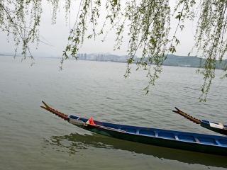 石漫滩国家森林公园