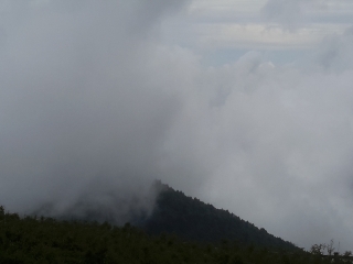神农架神农顶风景区