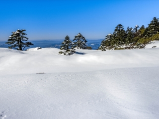 轿子雪山风景区